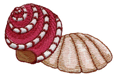 Embroidery Design: Seashells 12.60" x 2.34"
