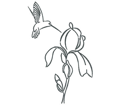Embroidery Design: Hummingbird with Rose Flower Outline 4.51w X 7.13h