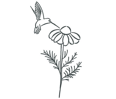 Embroidery Design: Hummingbird Eating Flower Outline 3.88w X 7.20h