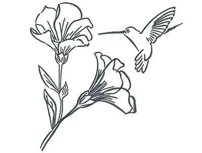 Embroidery Design: Hummingbird with Blooming Flowers Outline 7.30w X 7.09h