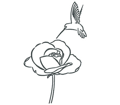 Embroidery Design: Hummingbird With Rose Outline 4.37w X 7.10h