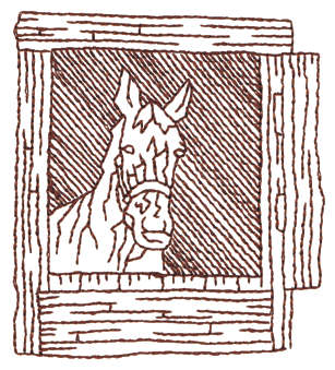 Embroidery Design: Horse In Stall - Outline2.76" x 3.05"