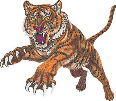 Leaping Tiger 14