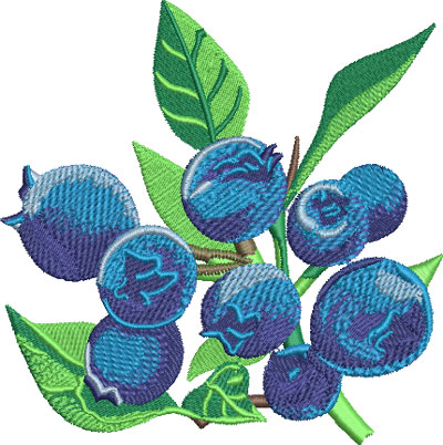 bluberries embroidery design