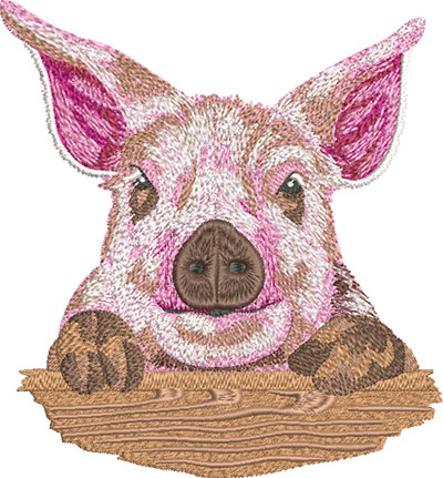 cute piglet embroidery design