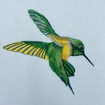 free hummingbird