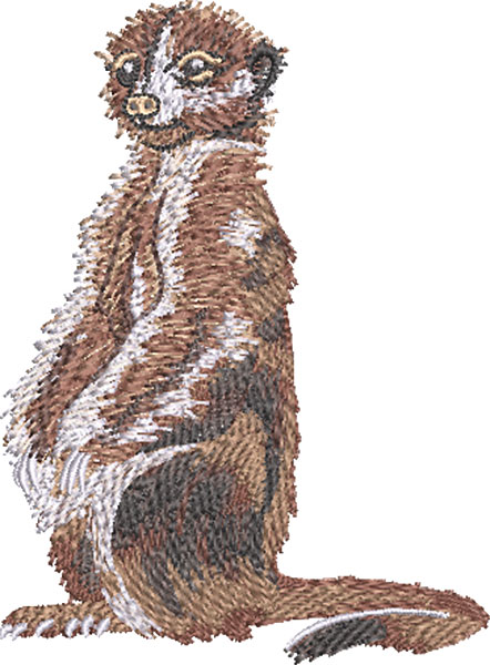 meerkat embroidery design