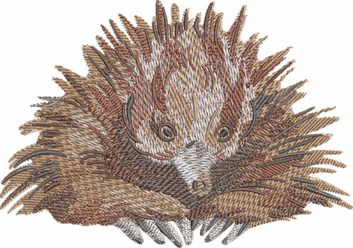 outback echidna sitting embroidery design