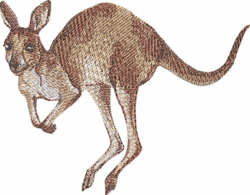 kangaroo embroidery design