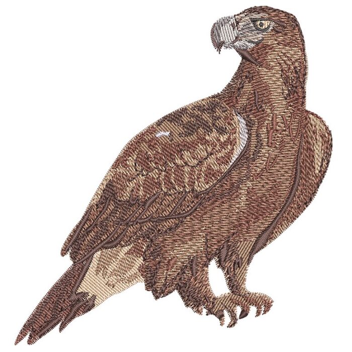 Outback Wedge-Tailed Eagle embroidery design