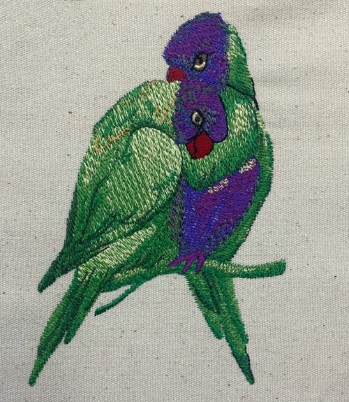 rainbow lorikeet embroidery design