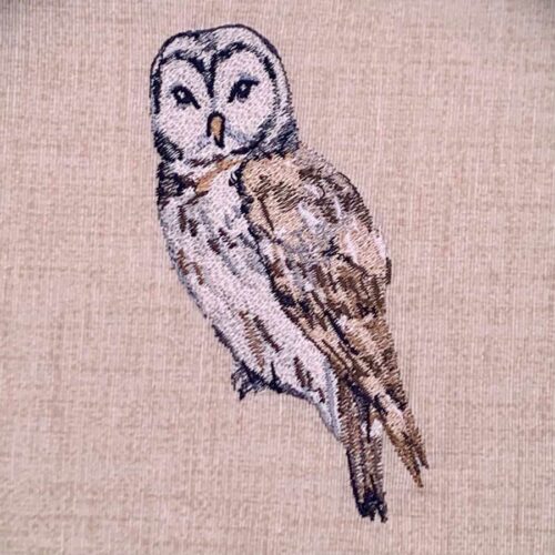 owl embroidery design