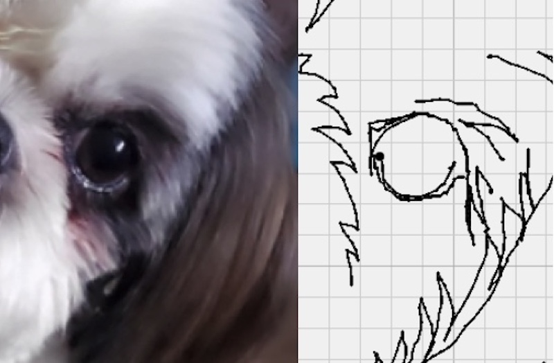 dog eye doodle