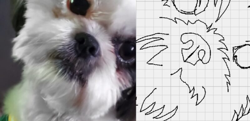 dog nose doodle