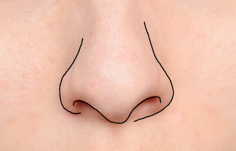 nose outline doodler