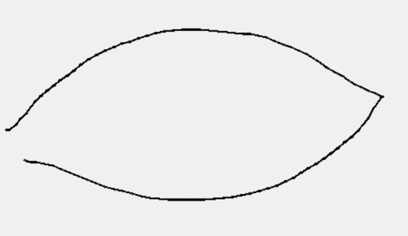 oval opening doodler eye